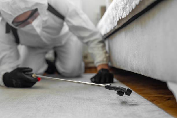 Professional Bed Bug Control technician working in Sweetwater County County, WY